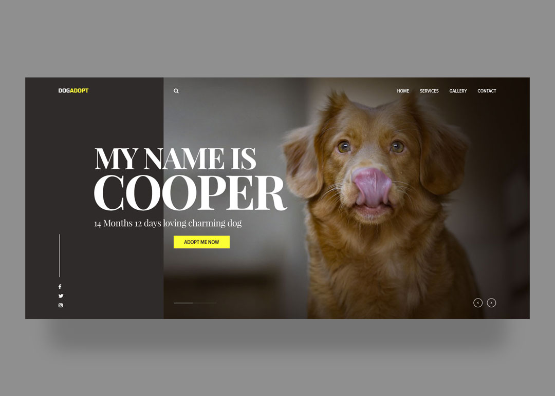 Dog Care Website Splash Page